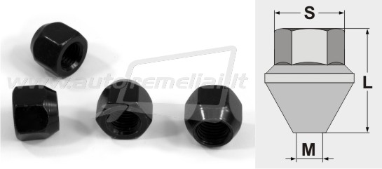 verzles-ratlankiams-rv-0003